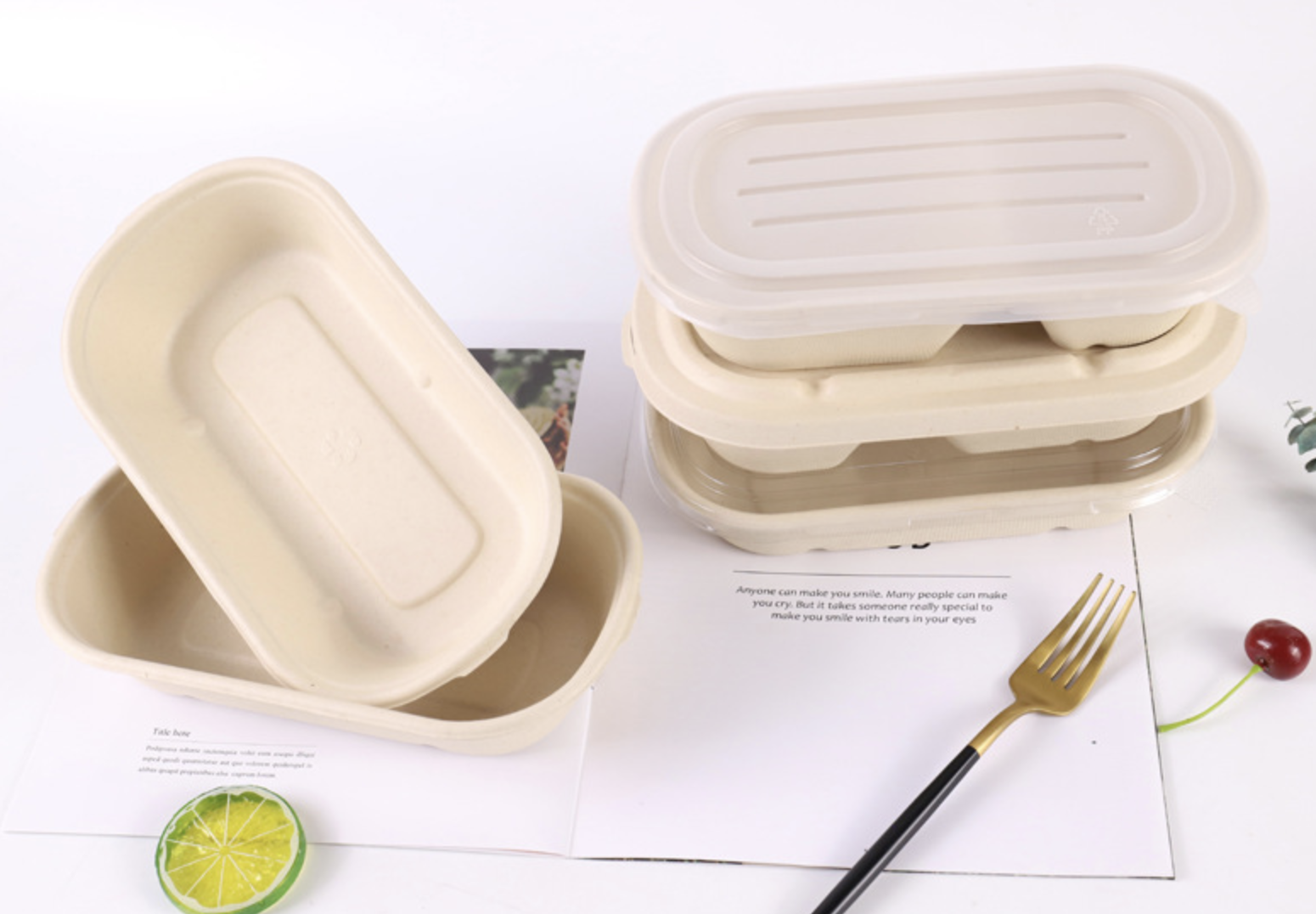 小麥秸稈/竹/甘蔗漿 餐盒(图10)