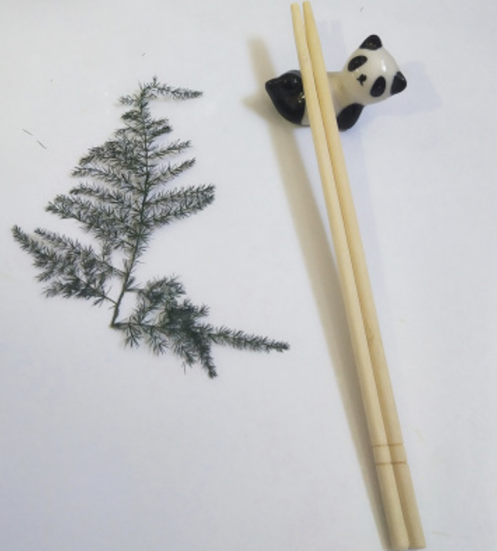 圓筷子(图5)