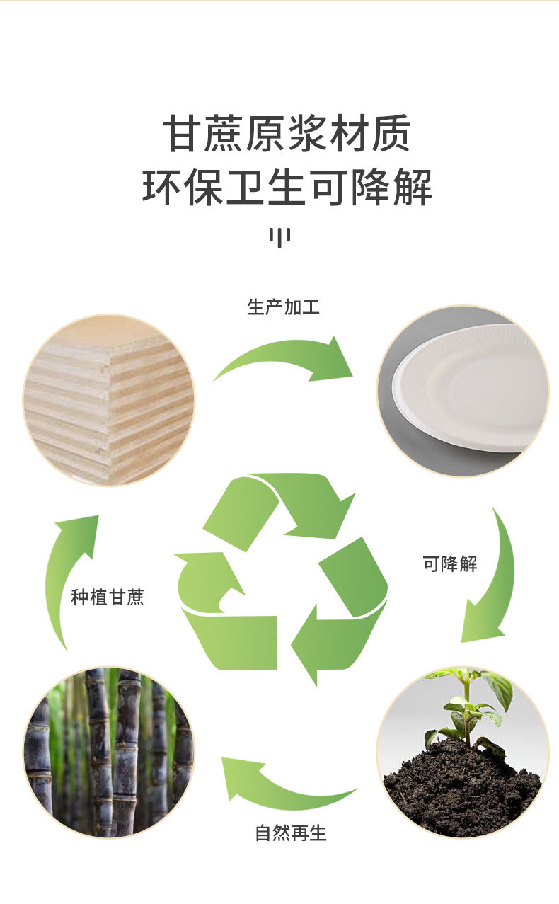 紙漿秸杆本色醬料杯(图4)